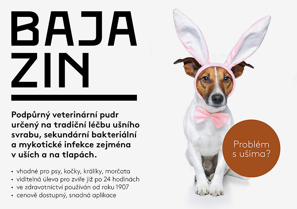 Leaflet / Leták