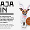 Leaflet / Leták